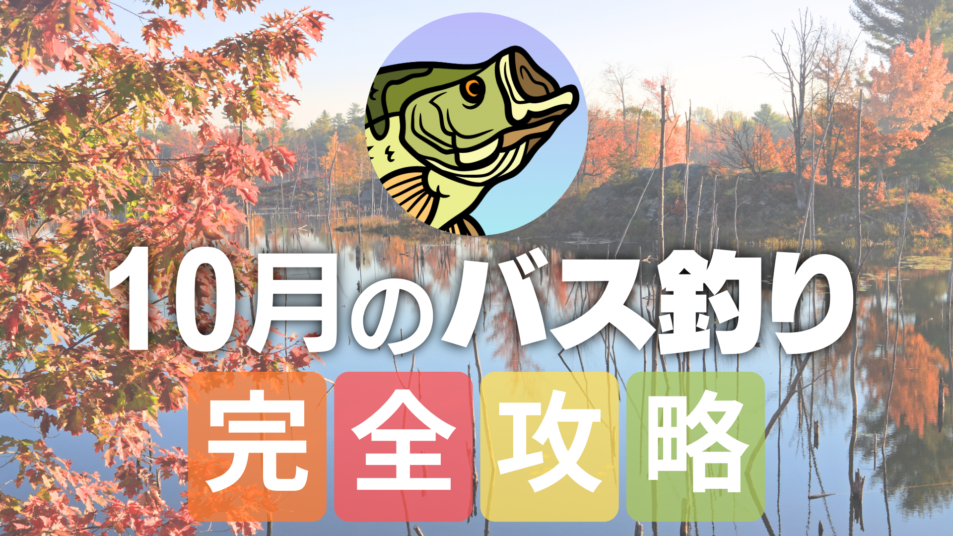 初心者向け】10月のバス釣り完全攻略 これを読めば10月の狙いドコロが